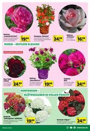 Leitermann Baumarkt Prospekt Seite 3
