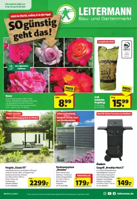 Leitermann Baumarkt Prospekt (gültig bis 7-06)