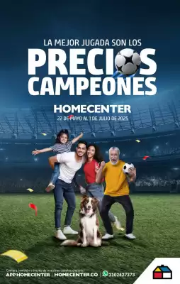 Catálogo Constructor (válido hasta 1-07)