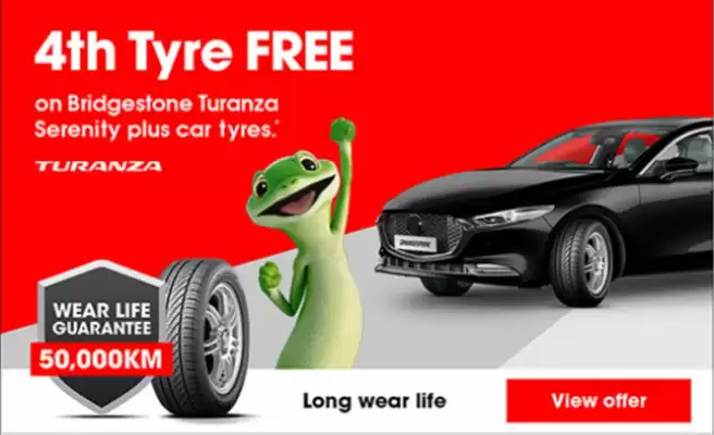 Bridgestone Tyres catalogue (valid until 6-07)
