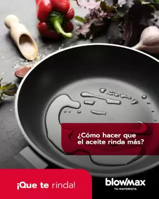 Catálogo Blow Max (válido hasta 8-06)