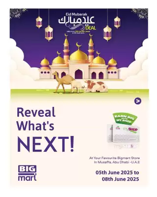 Bigmart catalogue (valid until 8-06)
