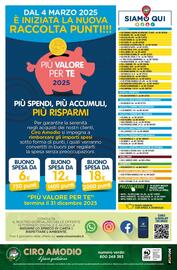Volantino Ciro Amodio Pagina 12