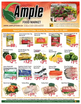 Ample Food Market flyer (valid until 12-06)