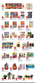 Lidl Weekly Ad week 23 Page 2