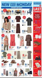 Lidl Weekly Ad week 23 Page 3