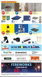 Lidl Weekly Ad week 23 Page 4