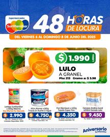 Catálogo Surtifamiliar Página 3