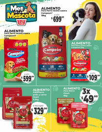 Catálogo Casa Ley Página 15