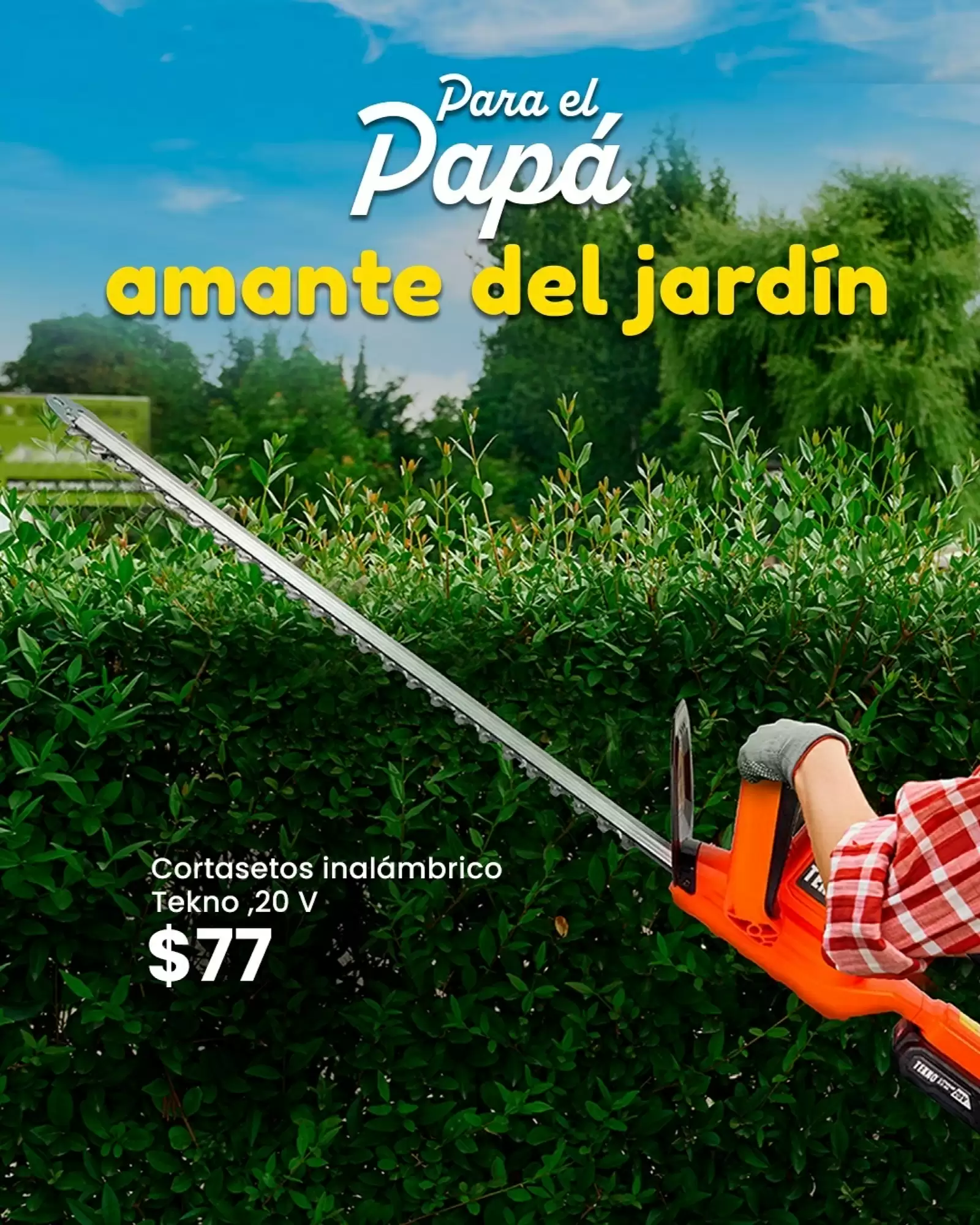 jpg