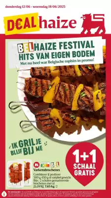 Delhaize folder