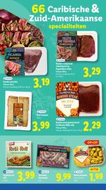 Lidl folder week 24 Pagina 17