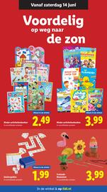 Lidl folder week 24 Pagina 43