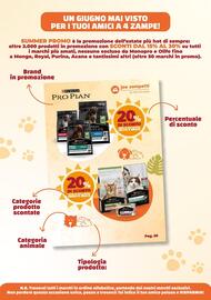 Volantino Joe Zampetti Pagina 2