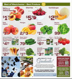DeCicco & Sons Weekly Ad week 23 Page 8