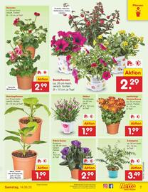 Netto Marken-Discount DE folder Pagina 7
