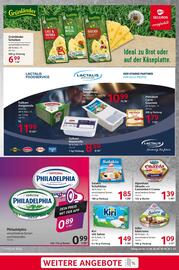 Selgros Prospekt woche 24 Seite 13