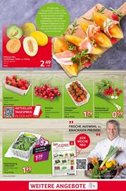 Selgros Prospekt woche 24 Seite 3