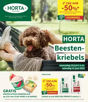 flyer-cover