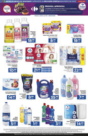 Catálogo Carrefour Página 17