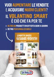 Volantino Gruppo di Palo Pagina 40