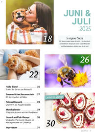 Raiffeisen Markt Prospekt Seite 3
