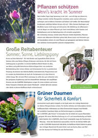 Raiffeisen Markt Prospekt Seite 5