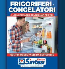 Volantino Elettrosintesi Pagina 22