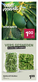Ekoplaza folder week 24 Pagina 13