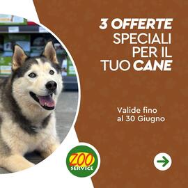 Volantino Zoo Service Pagina 1