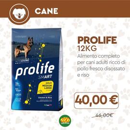 Volantino Zoo Service Pagina 4