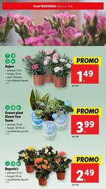 Lidl folder week 24 Pagina 28