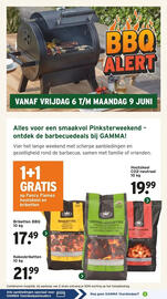 GAMMA folder Pagina 17