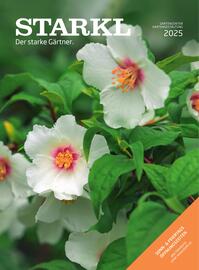 Starkl Flugblatt Seite 1