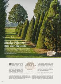 Starkl Flugblatt Seite 10