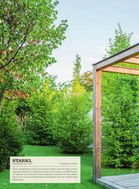 Starkl Flugblatt Seite 114
