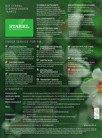 Starkl Flugblatt Seite 116
