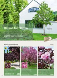 Starkl Flugblatt Seite 12