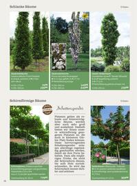 Starkl Flugblatt Seite 16