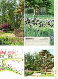 Starkl Flugblatt Seite 19