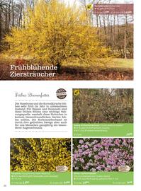 Starkl Flugblatt Seite 20