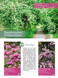 Starkl Flugblatt Seite 22