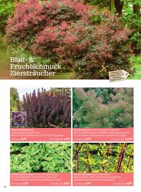 Starkl Flugblatt Seite 26
