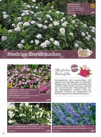 Starkl Flugblatt Seite 28