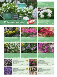 Starkl Flugblatt Seite 56