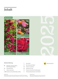 Starkl Flugblatt Seite 6
