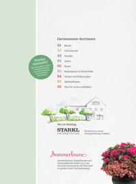 Starkl Flugblatt Seite 7