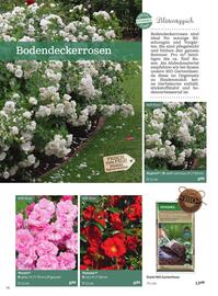 Starkl Flugblatt Seite 74