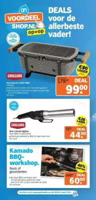 Albert Heijn folder (geldig t/m 15-06)