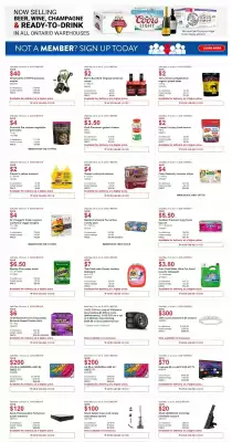 Costco flyer (valid until 8-06)